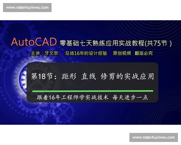 体育职业技能提升与实战应用全面发展策略研究 体育职业技能提升与实战应用全面发展策略研究